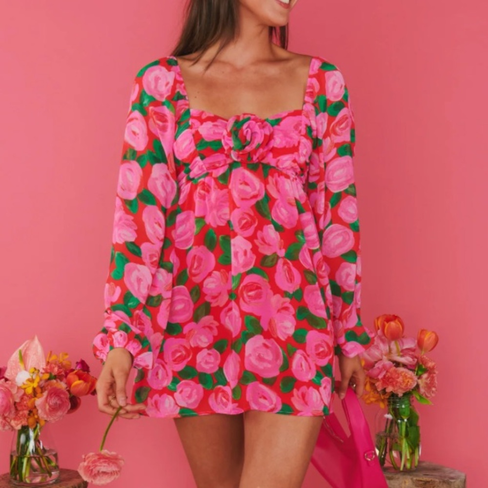 Show Me Your Mumu Becca Babydoll Dress